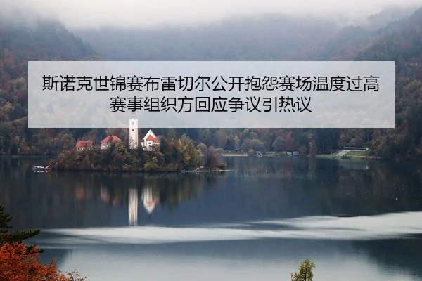 si-nuo-ke-shi-jin-sai-bu-lei-qie-er-gong-kai-bao-yuan-sai-chang-wen-du-guo-gao-sai-shi-zu-zhi-fang-hui-ying-zheng-yi-2-729.jpg